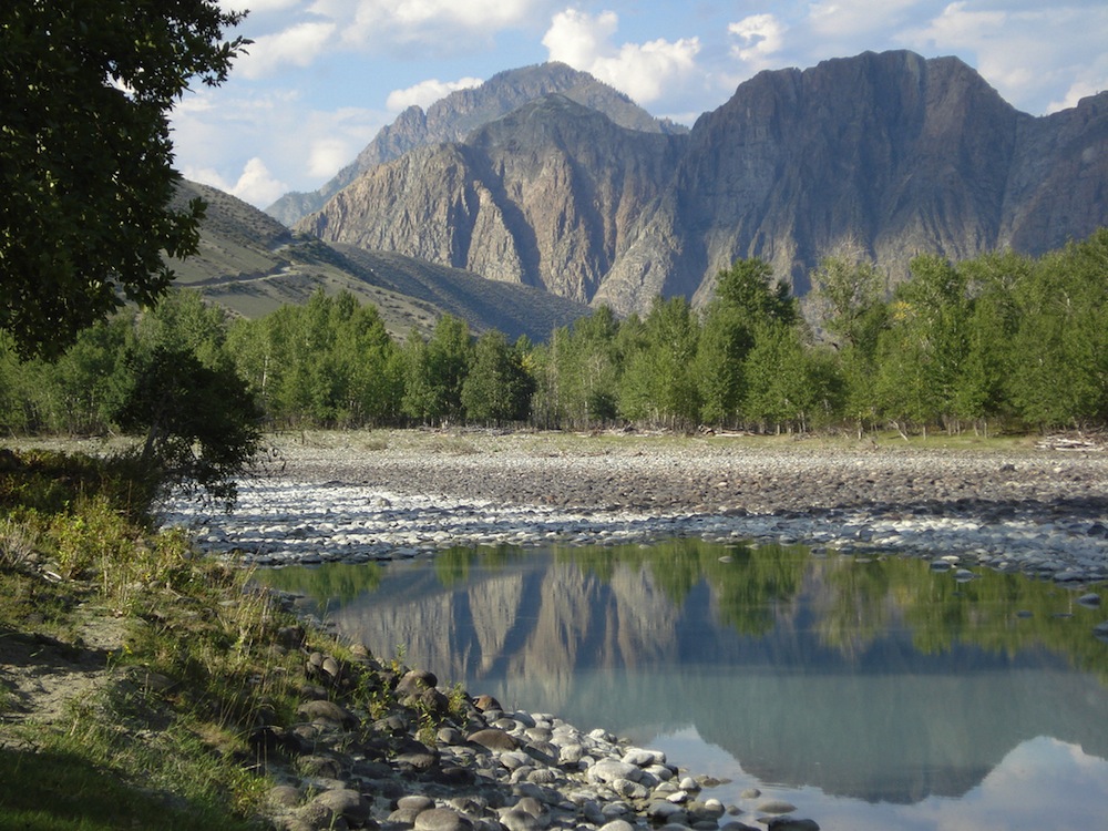 Letter from: the heart of Chechnya