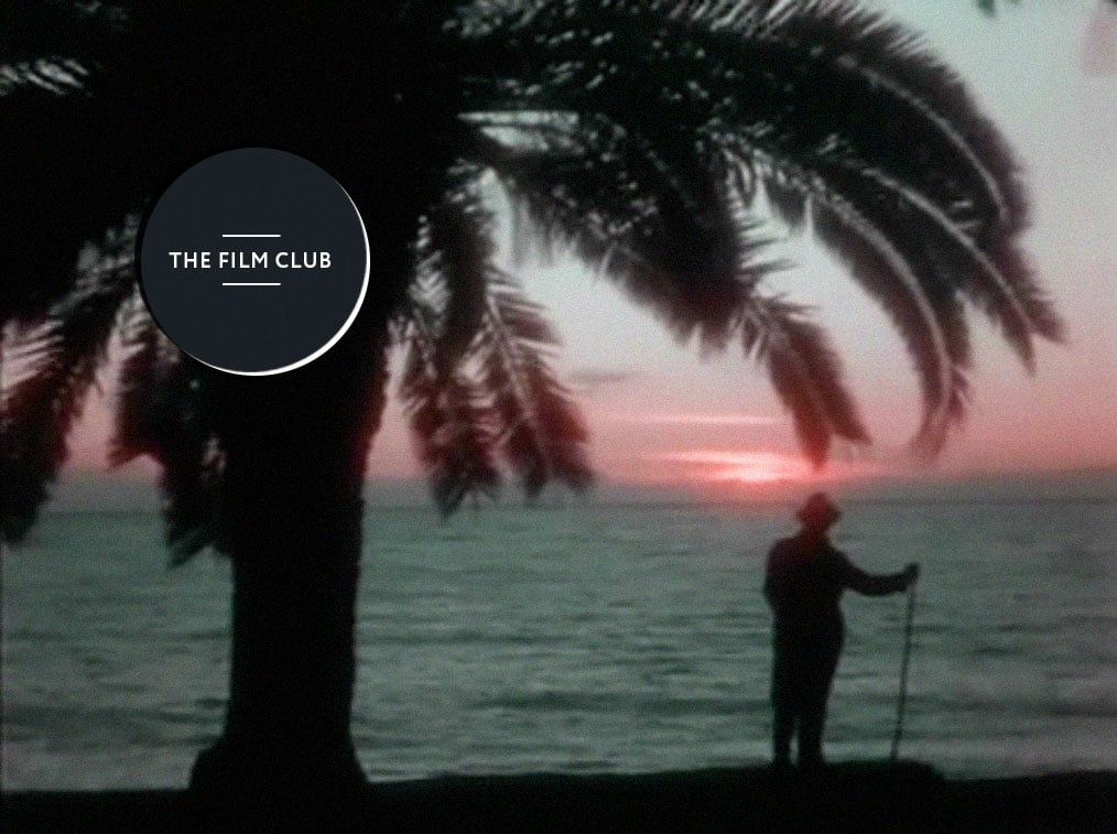 The film club: The Carnival of Colours