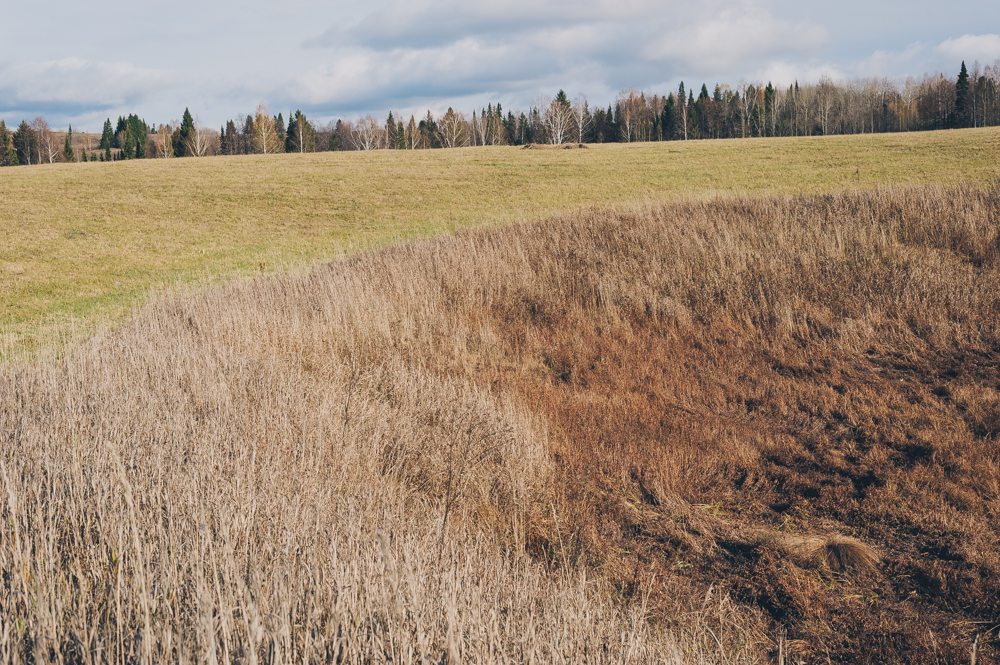 Fieldwork: a photographic road trip around the Russian countryside