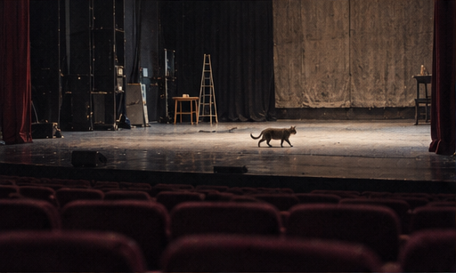 Have you seen Semyon, Russia’s theatre star cat?