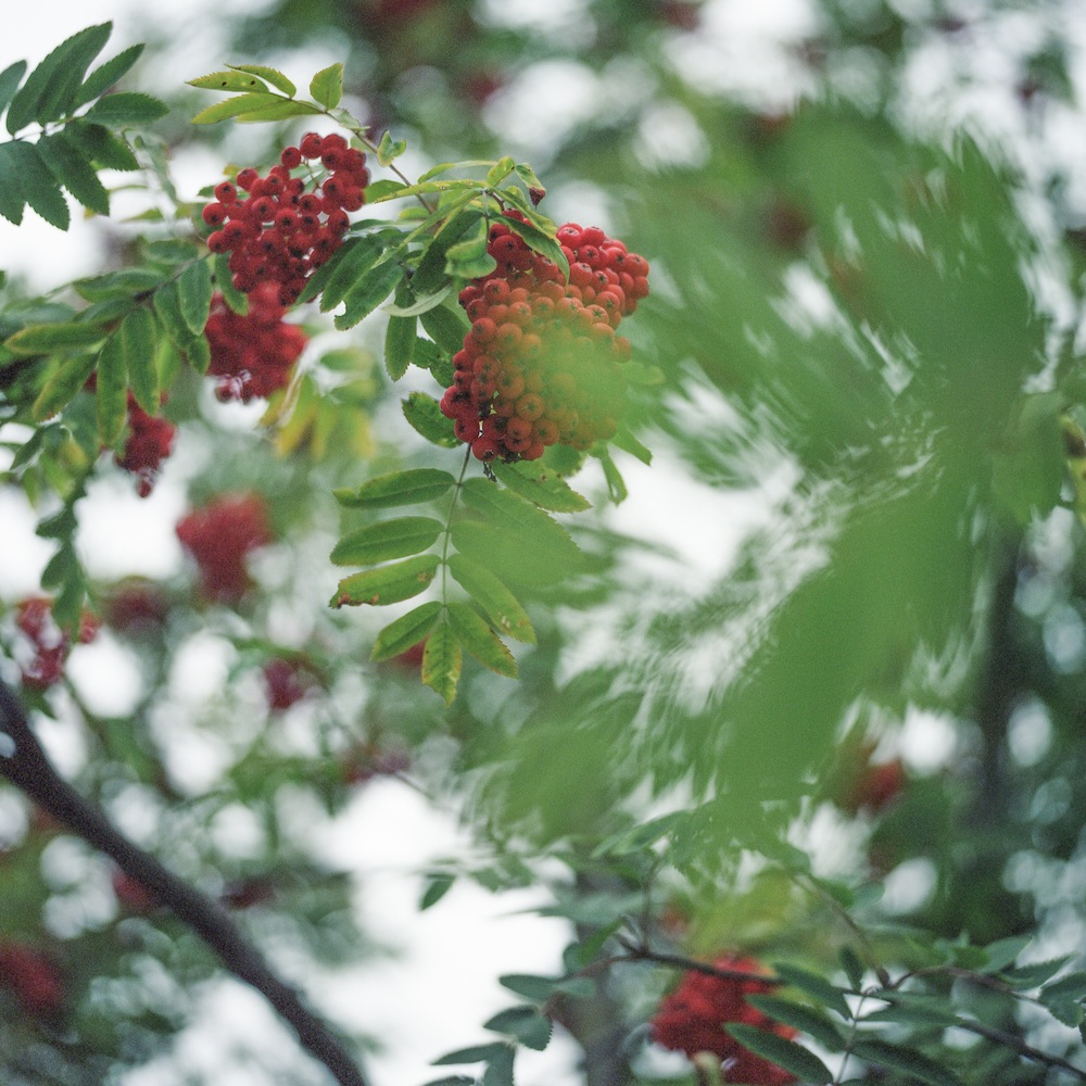 Past meets present: a photographer retraces the steps of her father's childhood