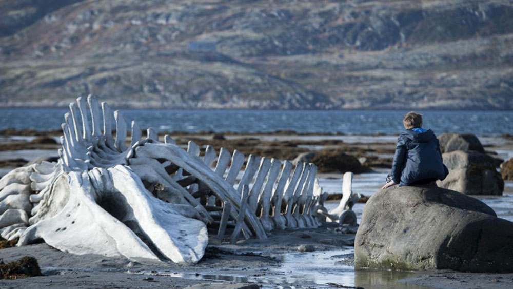 Off the hook: Oscar nominee Leviathan is under attack in Russia. Here's the case for the defence